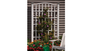Grande Trellis