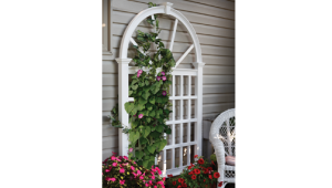 Vienna Trellis
